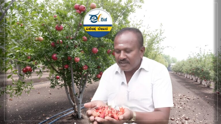 ಅಕಾಲಿಕ ಮುಂಗಾರು ಮಳೆ: ಕಂಗೆಟ್ಟ ರೈತ ಕ್ಯಾತಪ್ಪನ ಬದುಕು