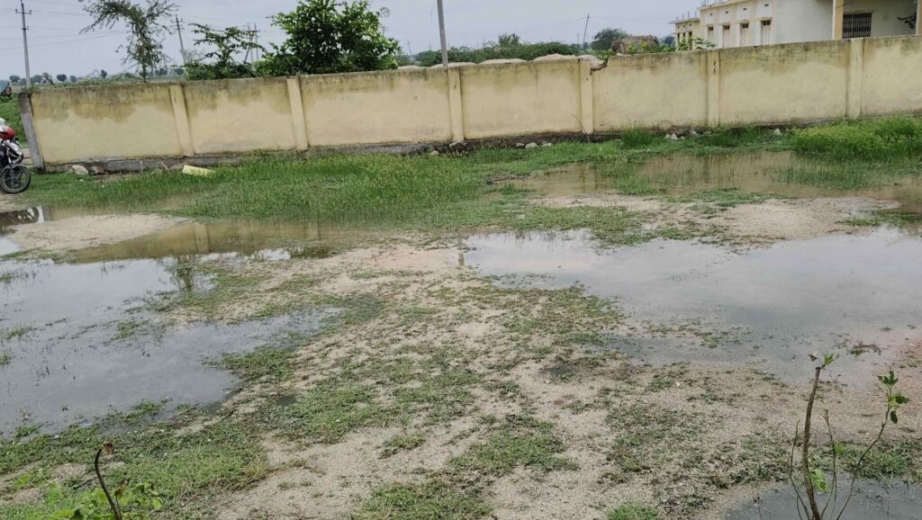 WhatsApp Image 2025 06 17 at 4.18.15 PM