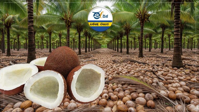 ಸಾರ್ವಕಾಲಿಕ ಶ್ರೇಷ್ಠ ದಾಖಲೆ ಬರೆದ ಕೊಬ್ಬರಿ ಧಾರಣೆ; ರೇಟ್&zwnj; ಎಷ್ಟು ಗೊತ್ತಾ?