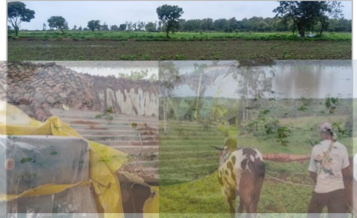 ಮುಂಗಾರು ಮಳೆಗೆ ಹಾನಿ