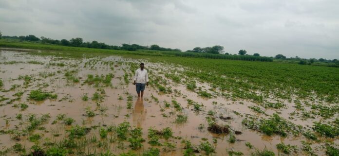 ರೈತರ ಬೆಳೆ ಹಾನಿ