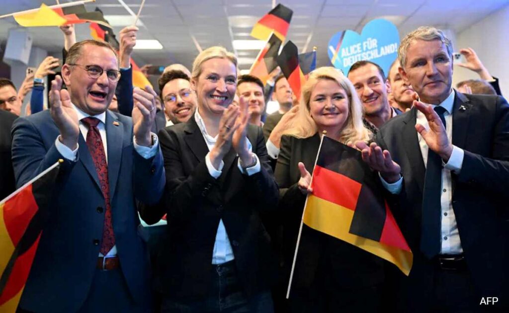 afd germany 1 1