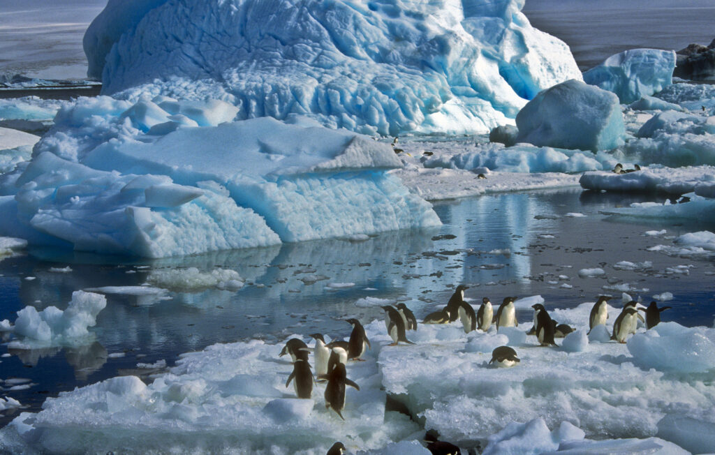antarctica