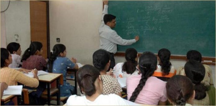assistant professors