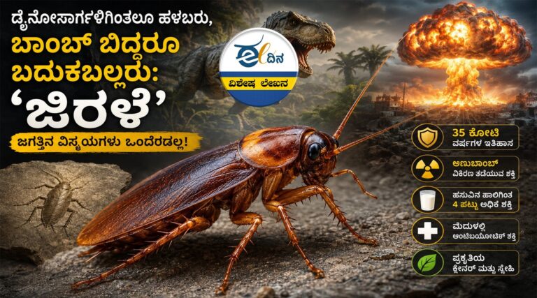 ಡೈನೋಸಾರ್&zwnj;ಗಳಿಗಿಂತಲೂ ಪುರಾತನ, ಬಾಂಬ್&zwnj; ಬಿದ್ದರೂ ಬದುಕಬಲ್ಲವು: ʼಜಿರಳೆʼ ಜಗತ್ತಿನ ವಿಸ್ಮಯಗಳು ಒಂದೆರಡಲ್ಲ!