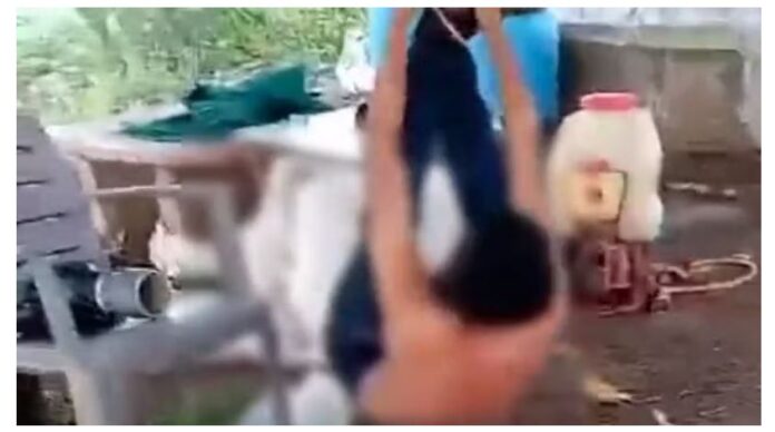 ದಲಿತ ಮಹಾರಾಷ್ಟ್ರ