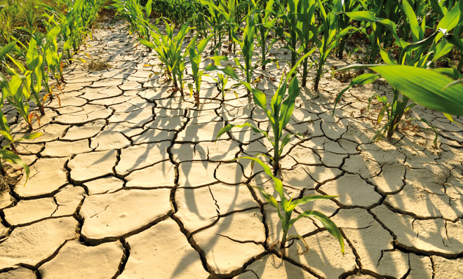 food security