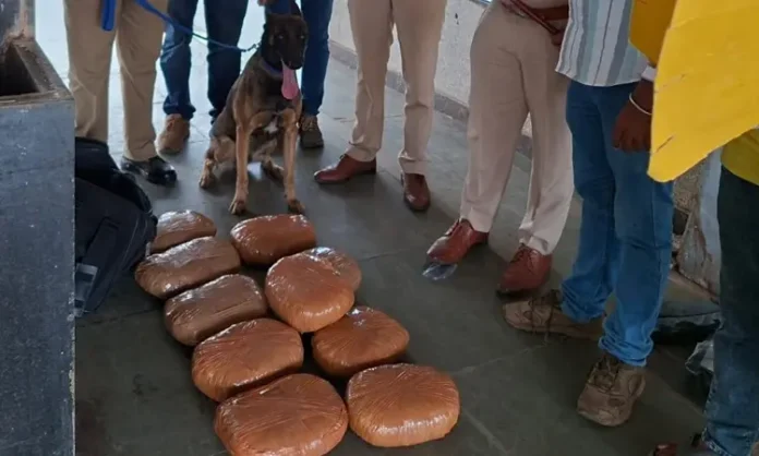 ಹುಬ್ಬಳ್ಳಿ | ರೈಲ್ವೆ ನಿಲ್ದಾಣದಲ್ಲಿ ಅನಾಮಧೇಯ ಗಾಂಜಾ ಪತ್ತೆ