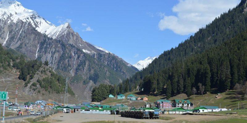 jammu forest