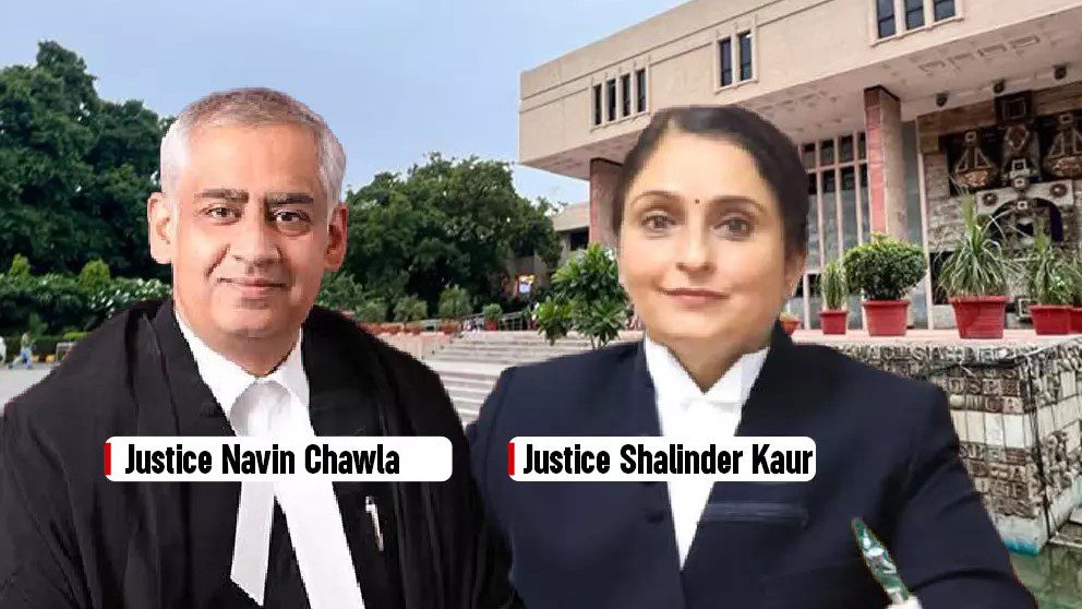 justice navin chawla justice shalinder kaur