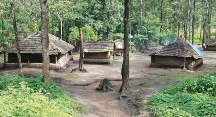 karnataka adivasi