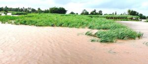 krishna river1