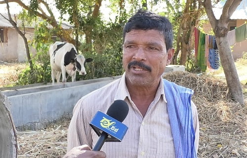 krishnagowda12