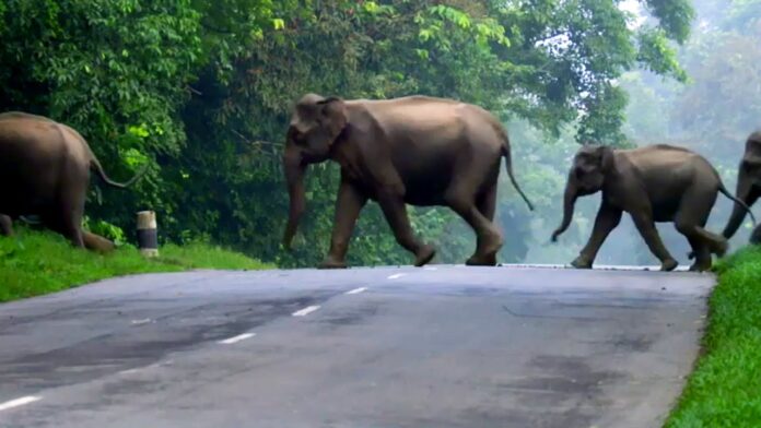 ಆಂಧ್ರಪ್ರದೇಶ