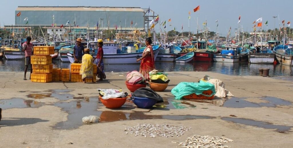 malpe