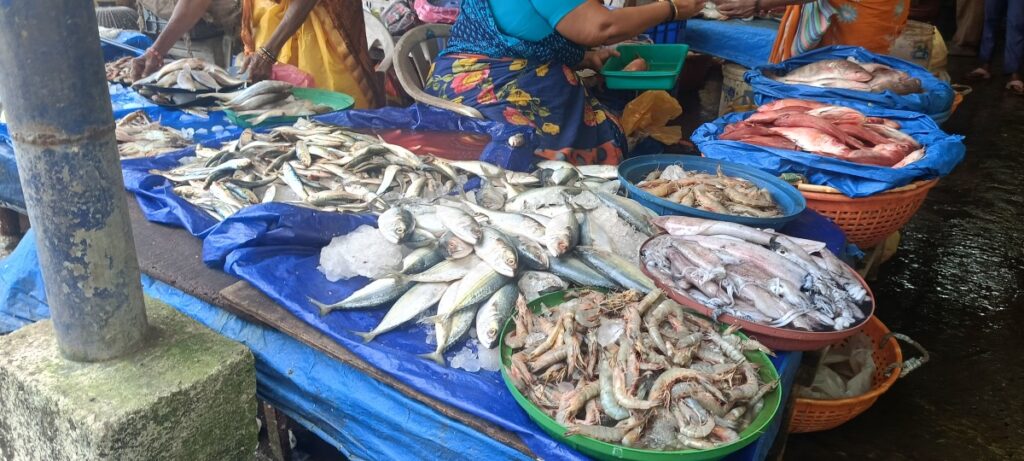 mangalore fish1