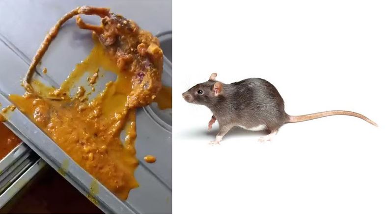 ರಾಮ ವೈದ್ಯಕೀಯ ಕಾಲೇಜಿನ ವಿದ್ಯಾರ್ಥಿಗಳಿಗೆ ನೀಡಲಾದ ಸಾಂಬಾರ್‌ನಲ್ಲಿ ಸತ್ತ ಇಲಿ ...