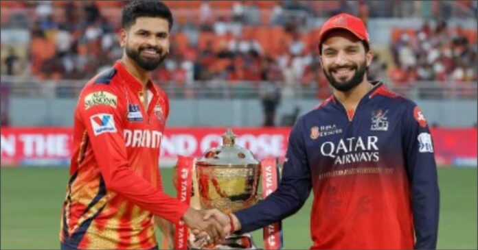 rcb punjab