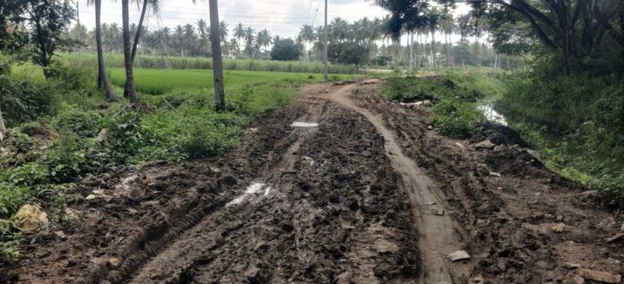 ಮಂಡ್ಯ