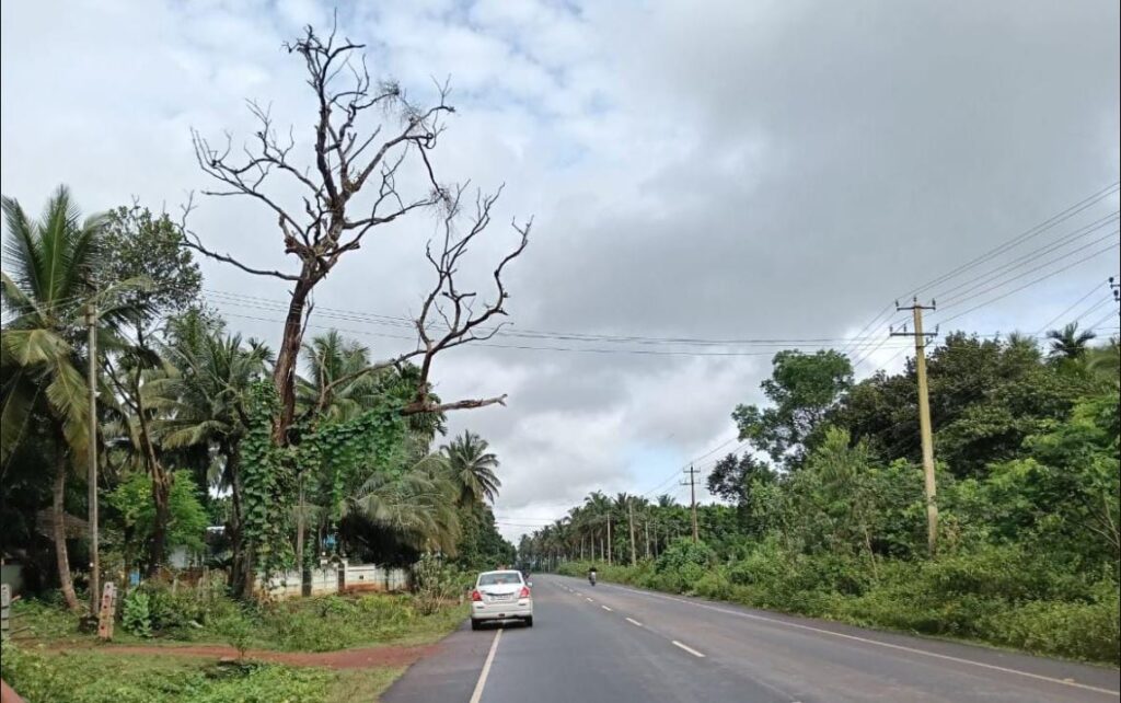 shimoga