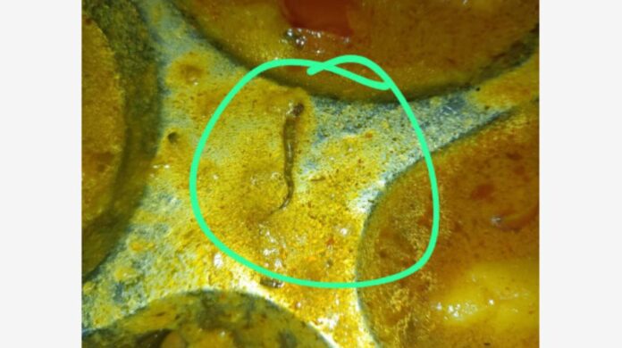 ಸತ್ತ ಹಾವು