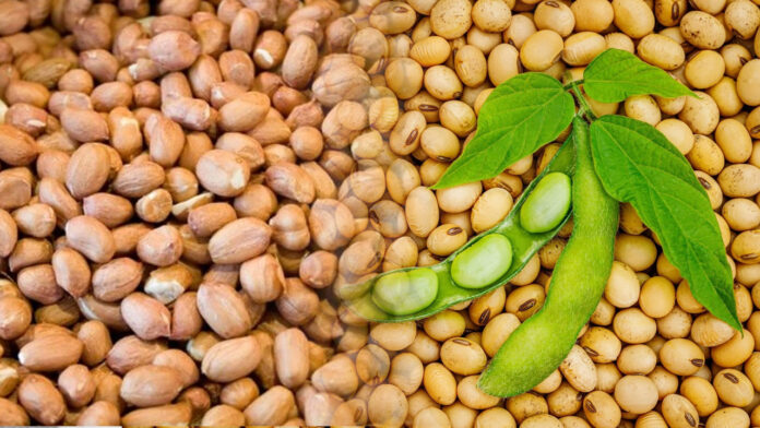 ಬೆಂಬಲ ಬೆಲೆ, ಸೋಯಾಬಿನ್, ಶೇಂಗಾ, ಸರ್ಕಾರ, Support price, soybean, peanut, government,