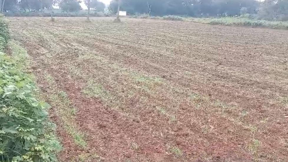 ತುಮಕೂರು