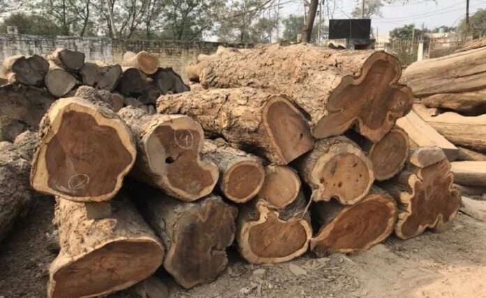 wood