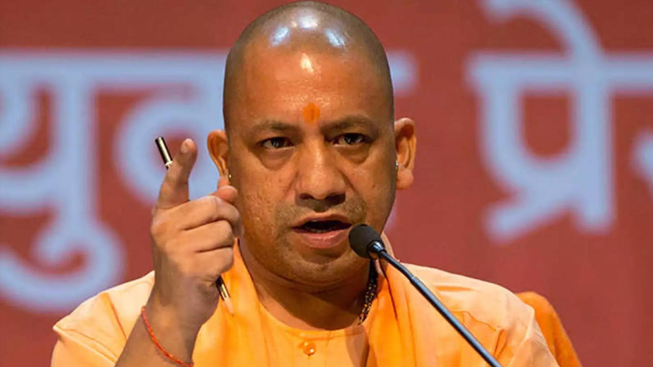yogi
