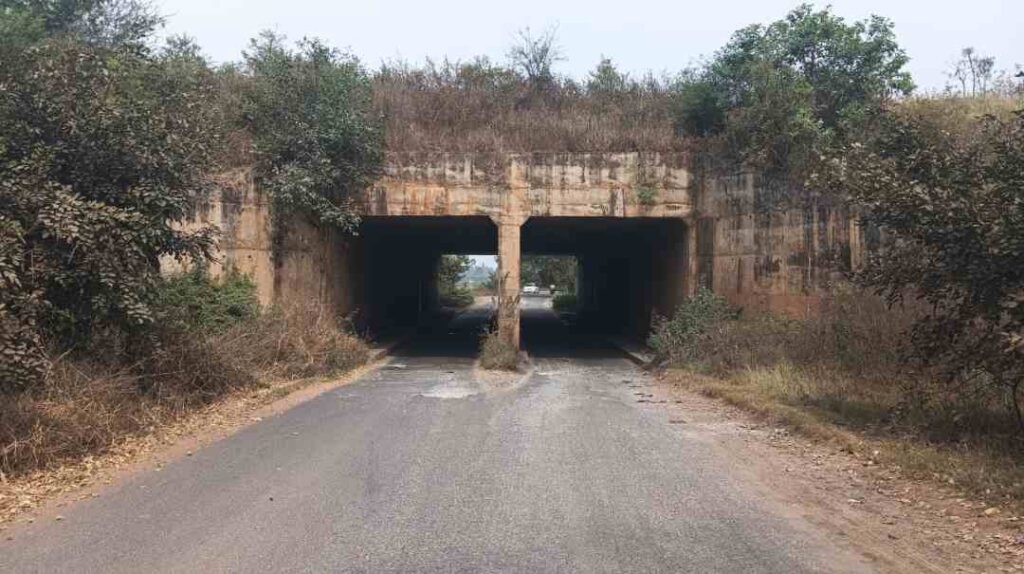 ಅಂಡರ್‌ಗ್ರೌಂಡ್‌ 1