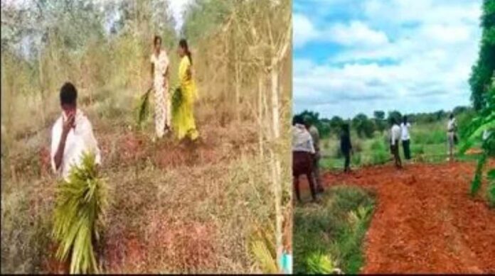 400ಕ್ಕೂ ಅಧಿಕ ಅಡಕೆ ಸಸಿ ಕಡಿದ ದುಷ್ಕರ್ಮಿಗಳು