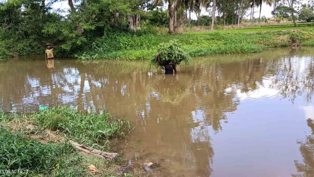 ಅಡ್ಡಾಳ ನಾಲೆ1