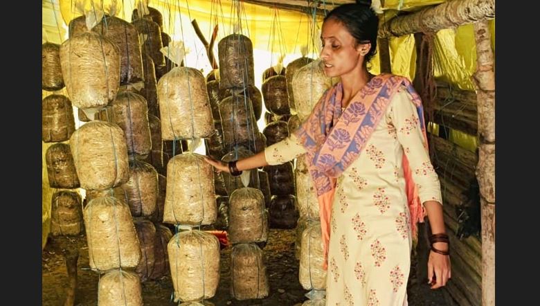 ಅಣಬೆ ಕೃಷಿ ಮಾಡುತ್ತಿರುವ ಗಂಗಾಲಕ್ಷ್ಮಿ