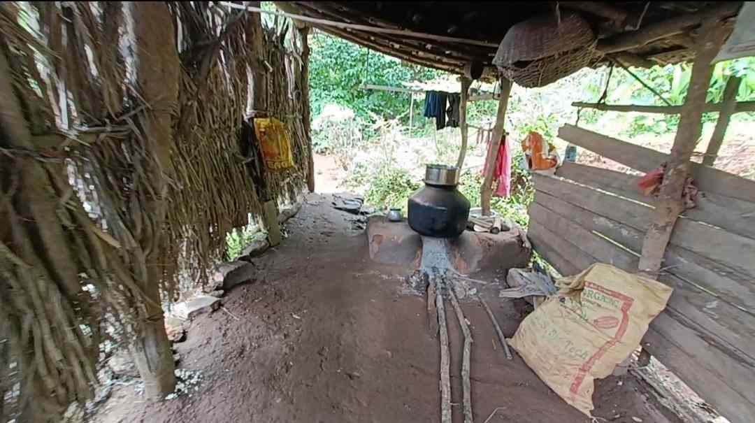 ಅರಣ್ಯ ನಿವಾಸಿಗಳ ಬದುಕು
