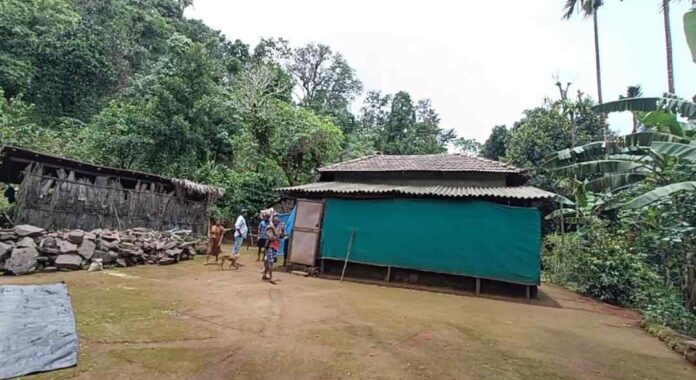ಅರಣ್ಯ ನಿವಾಸಿಗಳ ಬದುಕು