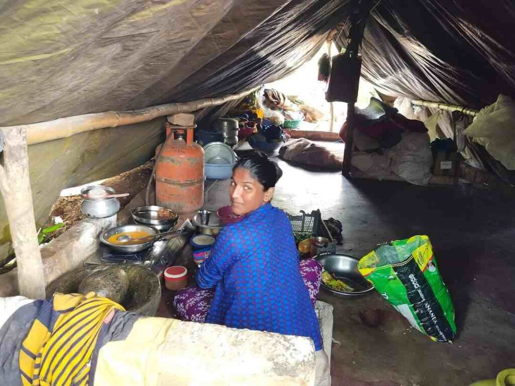 ಅಲೆಮಾರಿ ಕುಟುಂಬ
