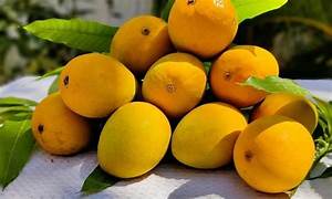 ಅಲ್ಫೋನ್ಸಾ