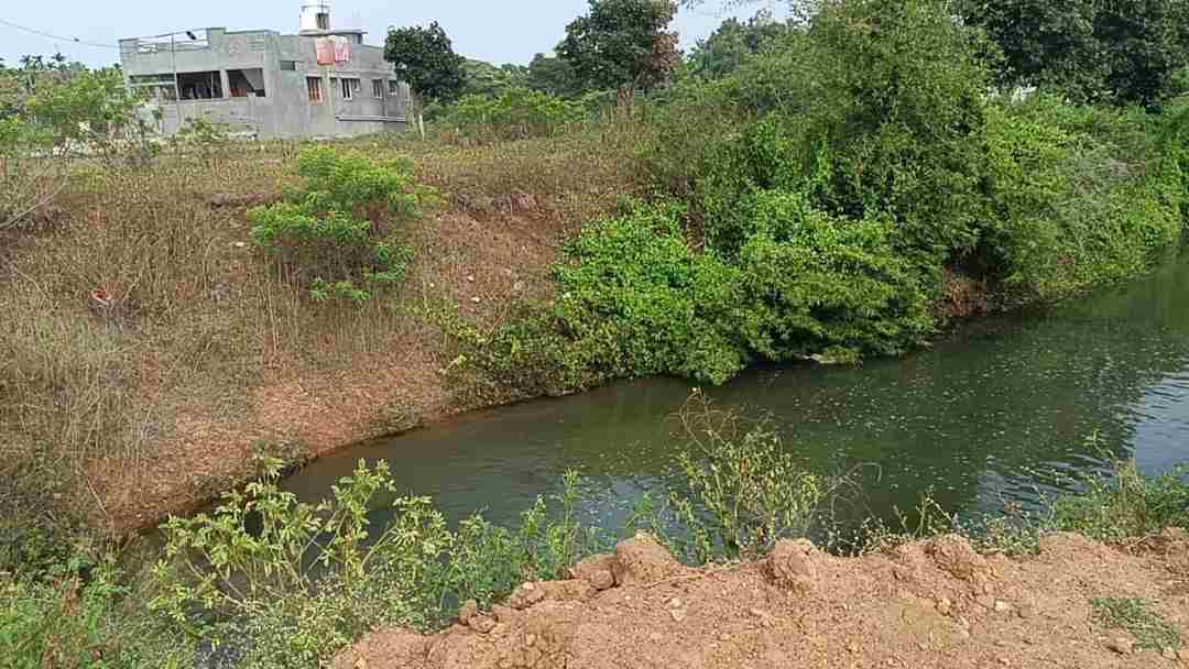 ಅವ್ಯವಸ್ಥೆ