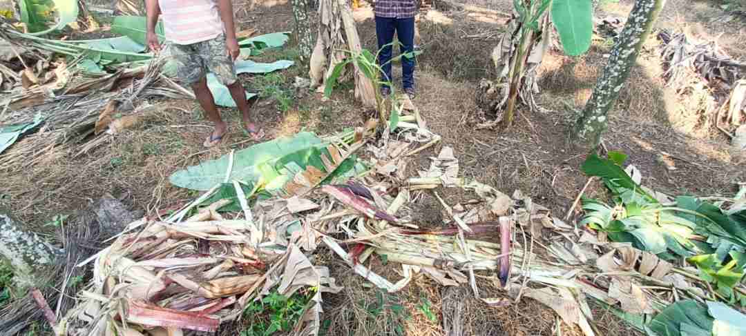 ಆನೆಗಳ ಹಾವಳಿ 1