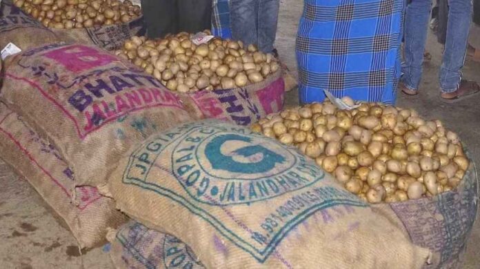 ಆಲೂಗಡ್ಡೆ ಬಿತ್ತನೆಗೆ ಸಿದ್ಧತೆ