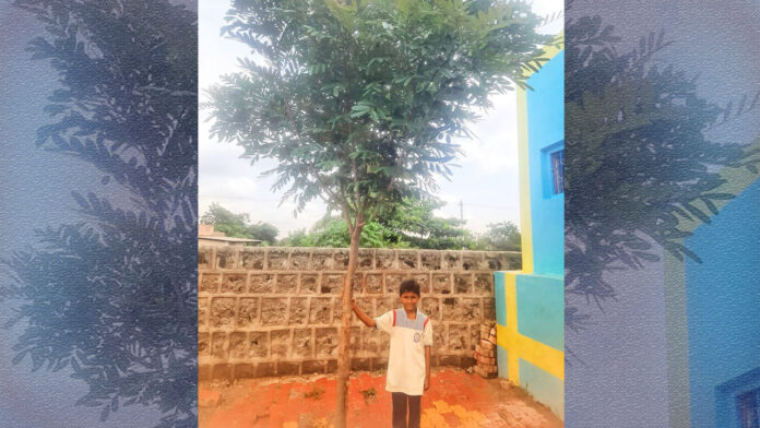 ಆಸಿಫ್