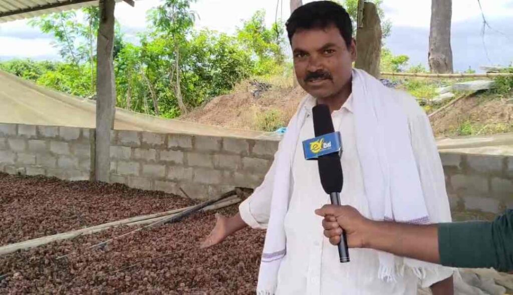 ಈರುಳ್ಳಿ 4