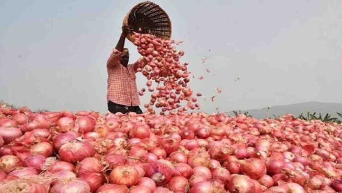 ಈರುಳ್ಳಿ