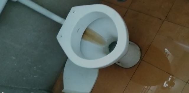 ಕಮೋರ್ಡ್