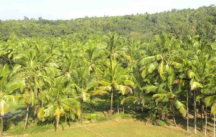 ಕಲ್ಪತರು ನಾಡಿನಲ್ಲಿ ಶಾಸಕರಿಗೆ ಸರಣಿ ಸವಾಲು