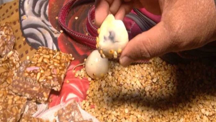 ಅಂಗನವಾಡಿಯಲ್ಲಿ