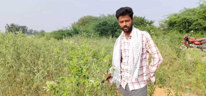 ಕಳಪೆ ಬಿತ್ತನೆಬೀಜ ನೀಡಿ ರೈತನಿಗೆ ಮೋಸ