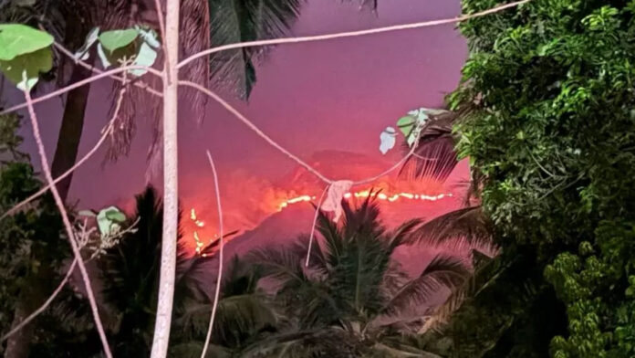 ಚಿಕ್ಕಮಗಳೂರು, ಕುದುರೆಮುಖ, ವನ್ಯಜೀವಿ ಪ್ರದೇಶ, Chikkamagaluru, Kudremukh, Wildlife Area,