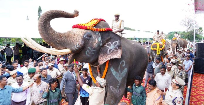 ಕುಮ್ಕಿ ಆನೆಗಳು (1)