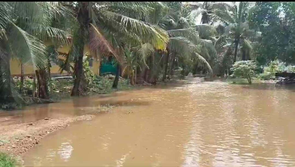 ಕೃತಕ ನೆರೆ 1